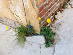 -白草畔自然风景区