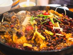 -老板恋上鱼(印象城店)