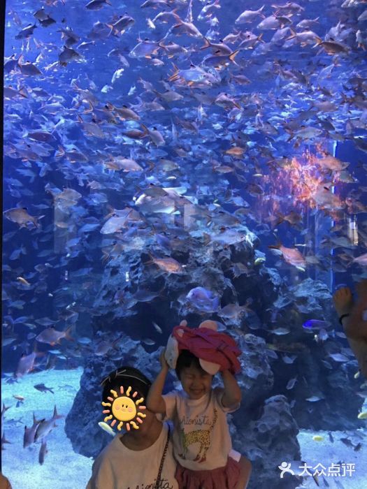 成都浩海立方海洋公园图片