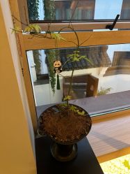 -AGE LOCK 锁龄美肌