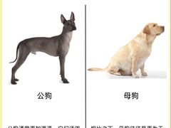 -爱妮康宠物医院·干细胞免疫细胞·肿瘤·心脏(张江店)