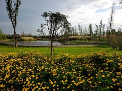 -白鹭湾湿地公园