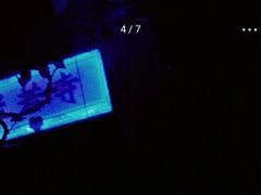 -MJ魔爵全机关真人密室逃脱(青浦万达茂店)