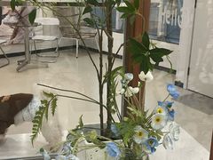 -共舞时光猫咖·狗咖(新街口店)