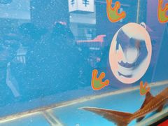 -鱼上·烤鱼(万象城店)