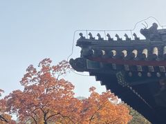 -香山公园