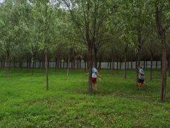 -亲兄弟真人CS团建拓展基地