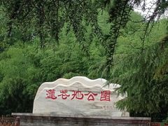 -莲花池公园
