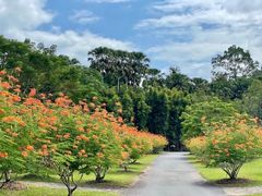 -中国科学院西双版纳热带植物园