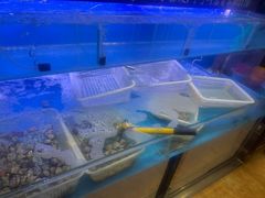 -悦巷海鲜自助铁板烧(秦皇东大街店)