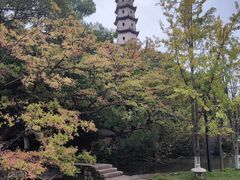 -江心屿景区