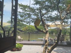 -韩湘水博园