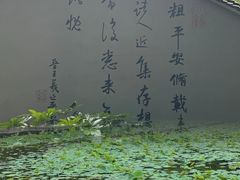 -兰亭风景区