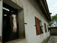 -松声马术俱乐部