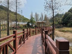 景点-广州市石门国家森林公园