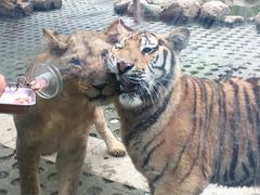 -西安秦岭野生动物园
