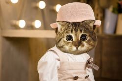 -小鬼当佳儿童摄影(回龙观店)