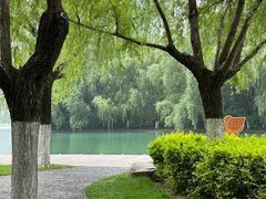 -天鹅湖体育公园