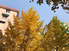 -阿婆油墩子(五里桥路188弄小区店)