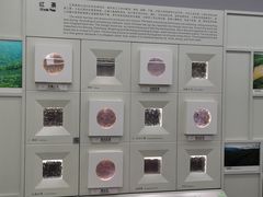-中国茶叶博物馆(双峰馆区)