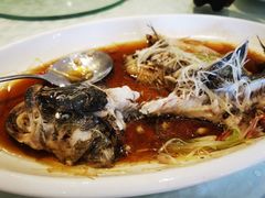 清蒸鲈鱼-金蝉食府(维吉奥广场店)