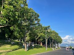 -深圳湾公园(南山区)