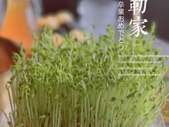 -罗勒家·养生火锅· Bistro(大望路店)