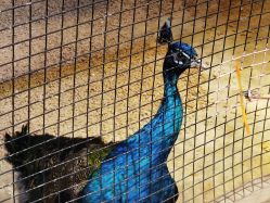 -酷嗒动物文化乐园(cutezoo西溪乐天城店)