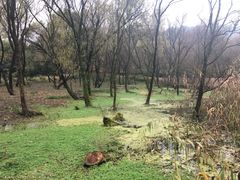 -西湖风景区-江洋畈生态公园