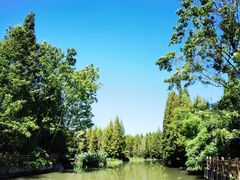 -桤木河湿地公园