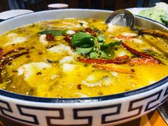 -厨道重庆菜馆(鸳鸯店)