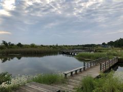 -鄱阳湖国家湿地公园