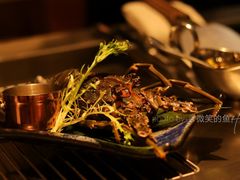 活龙虾配龙虾膏清酒汁-岩也·日料与酒(龙岗天安云谷店)