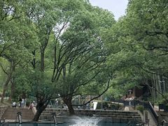 -东明山森林公园