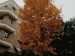 -辽宁大学(崇山校区)