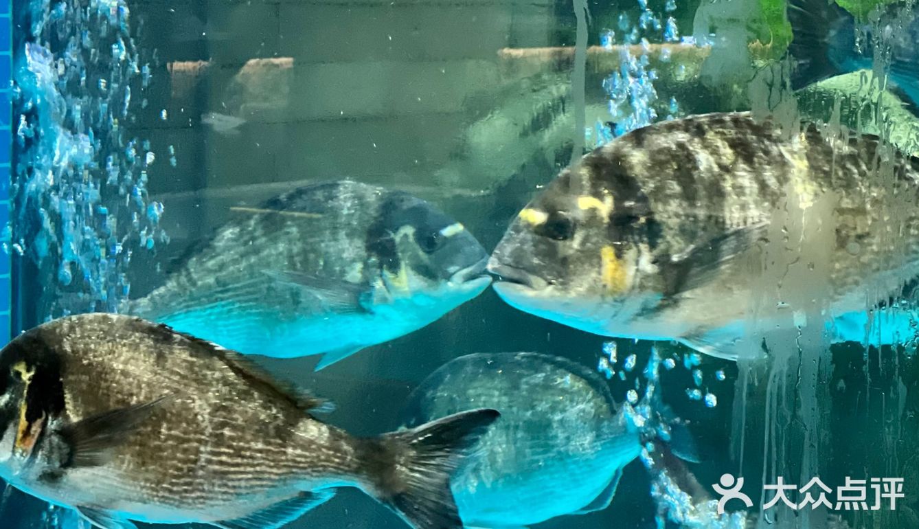 这一口‼️只有广东人懂它的含金量