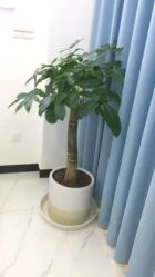 点击看大图 -痘敏医生专业祛痘连锁
