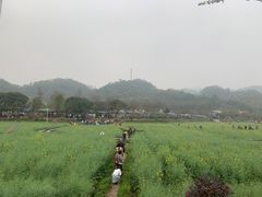 -红山村