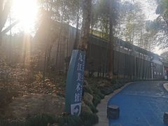 -九江美术馆