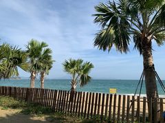 -大梅沙海滨公园-停车场