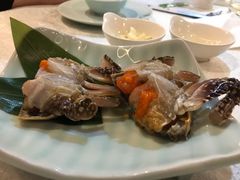 -渔娘渔家丹东海鲜(东直门店)