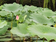 -WhaleSports户外水上运动俱乐部(朝阳公园店)