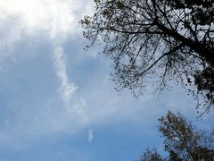 000924jmfk41zk0umiuzhk-广元唐家河嘉怡客栈