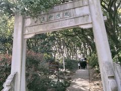 -苏州上方山国家森林公园