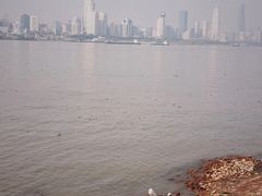 -武汉关码头(轮渡站)