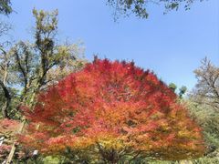 -润泽天·湘味家宴(岳麓山店)