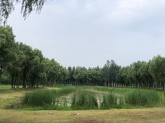 -东郊湿地公园