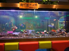 -御池园(顾村公园店)