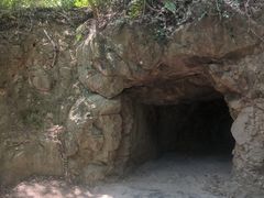 -上海佘山国家森林公园天马山园