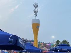 -第35届青岛国际啤酒节